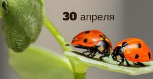 30 апреля: какой сегодня праздник