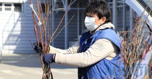 Вход – в масках, торговцев в 60 раз меньше: В Славянске снова заработали рынки