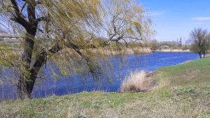 Торец в апреле всегда полноводный. Фото