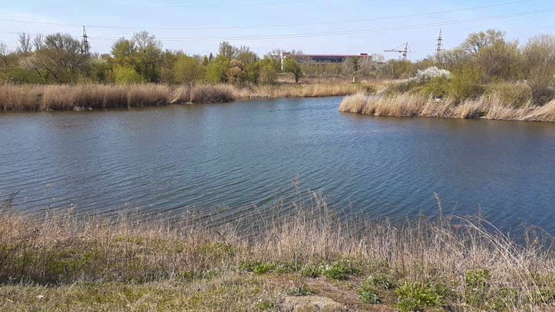 93104602 2837309949728817 7232340780294078464 n