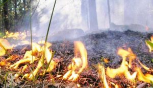 Увага! Попередження про пожежну небезпеку!