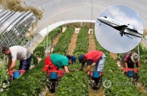 В Польше задумали отправить чартеры за заробитчанами из Украины