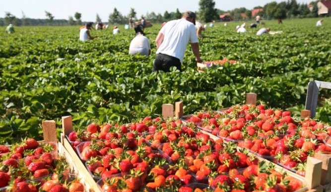 Уроки по телевизору: расписание, когда и где смотреть