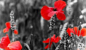 Мешканцям Слов’янського району пропонують поділитись світлинами рідних та близьких, що брали участь у Другій світовій війні або мають статус «Дитина війни»