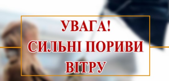 Увага! Попередження про пориви вітру та заморозки на Донеччині