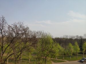 Между Краматорском и Дружковкой горели свалки мусора