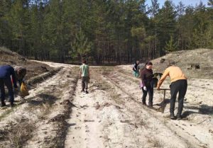 В Лиманском лесном хозяйстве на Донетчине завершена посадка нового леса