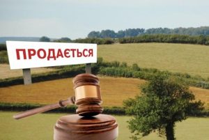 Депутаты открыли рынок земли. Что в законе?