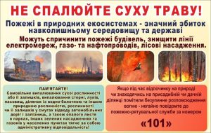 ДСНС Славянска просит не жечь сухую траву