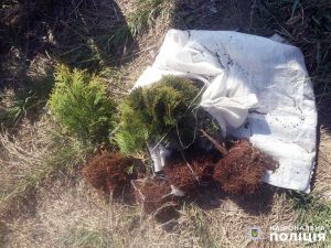 Двое жителей Славянска задержаны на кладбище при краже деревьев