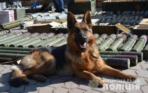 На территории бывшего детского лагеря в Донецкой области нашли склад с боеприпасами