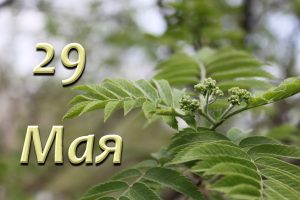 Приметы и праздники 29 мая: что нельзя делать в этот день
