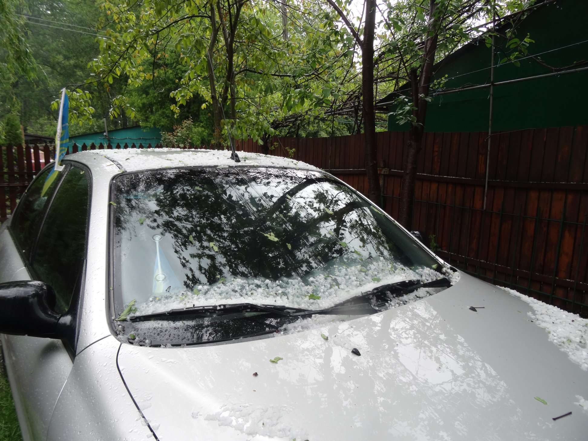 99011029 2382420805389200 516938428340764672 o