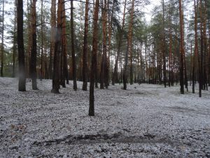 В Лиманському районі випав ГРАД. Фотофакт