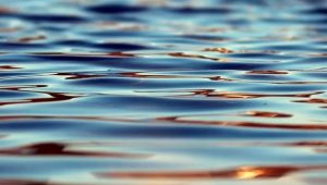 В Украине готовятся к водному дефициту: летом ожидают маловодье