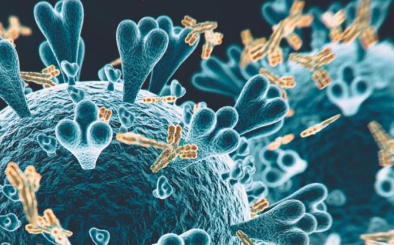 Ученые ошарашили прогнозом о влиянии пандемии на климат