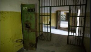 Ни одна не заполнена на 100%:  Минюст запускает проект по сокращению тюрем