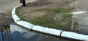 Незмінні традиції побілення дерев та бордюрів. Чи корисно це?