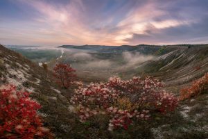 Єдиним місцем в Україні, де бори з крейдяною сосною охороняються законом, є саме заповідник «Крейдова флора» в Слов`янському районі