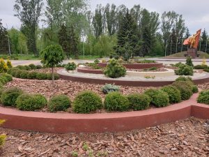 В парке Шелковичном появилась дизайнерская клумба