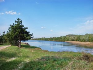 В Донецкой области сняли запрет на вылов рыбы