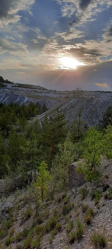 104303169 3057820814333932 4549077045035618965 o