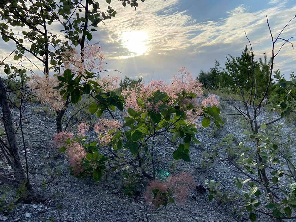 105519112 3057820267667320 5455421545849533340 n