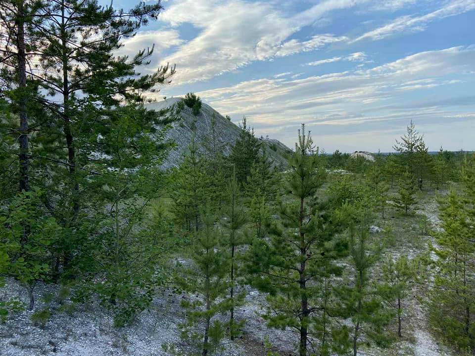 105553324 3057820377667309 4704799998773195585 n