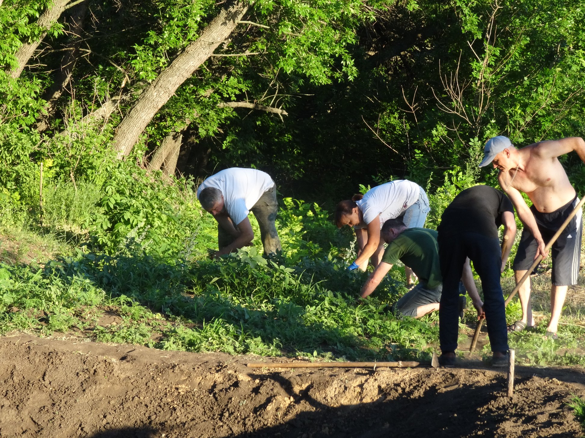 105990029 2406814636283150 7185949945480225057 o