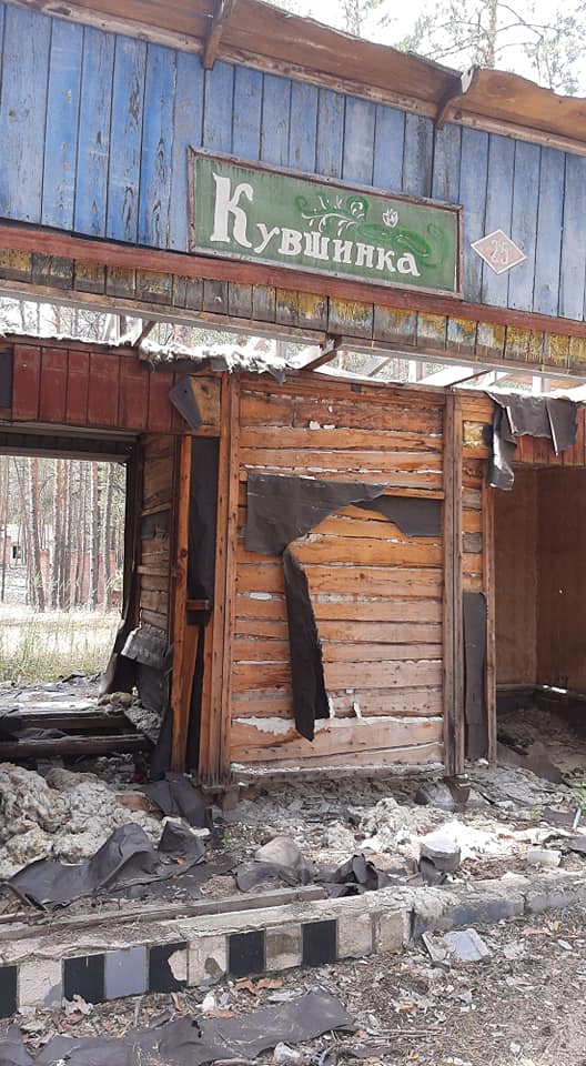 106010498 4026085250797194 2425638575066791342 n