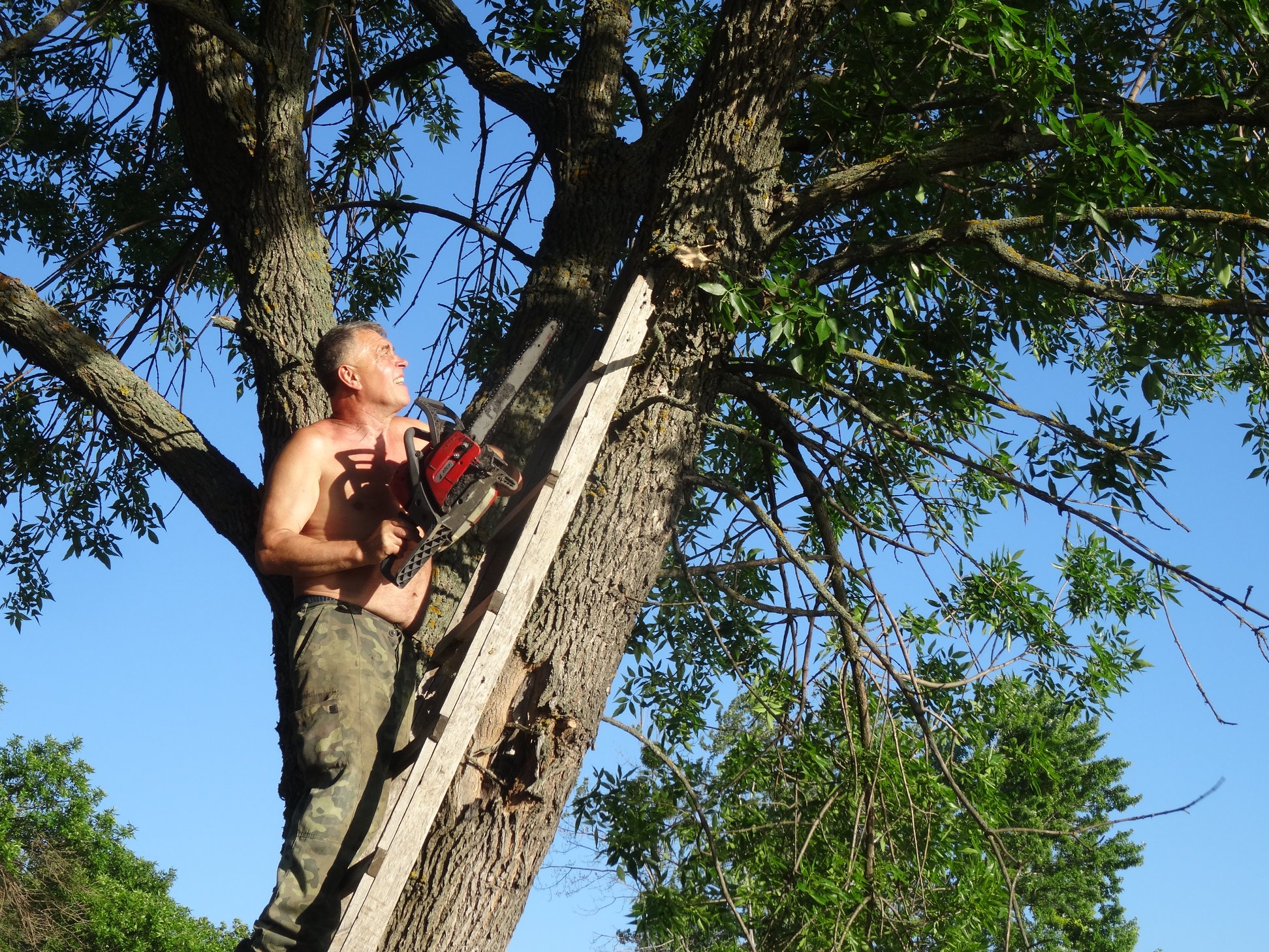 106028455 2406813442949936 672757193191626549 o