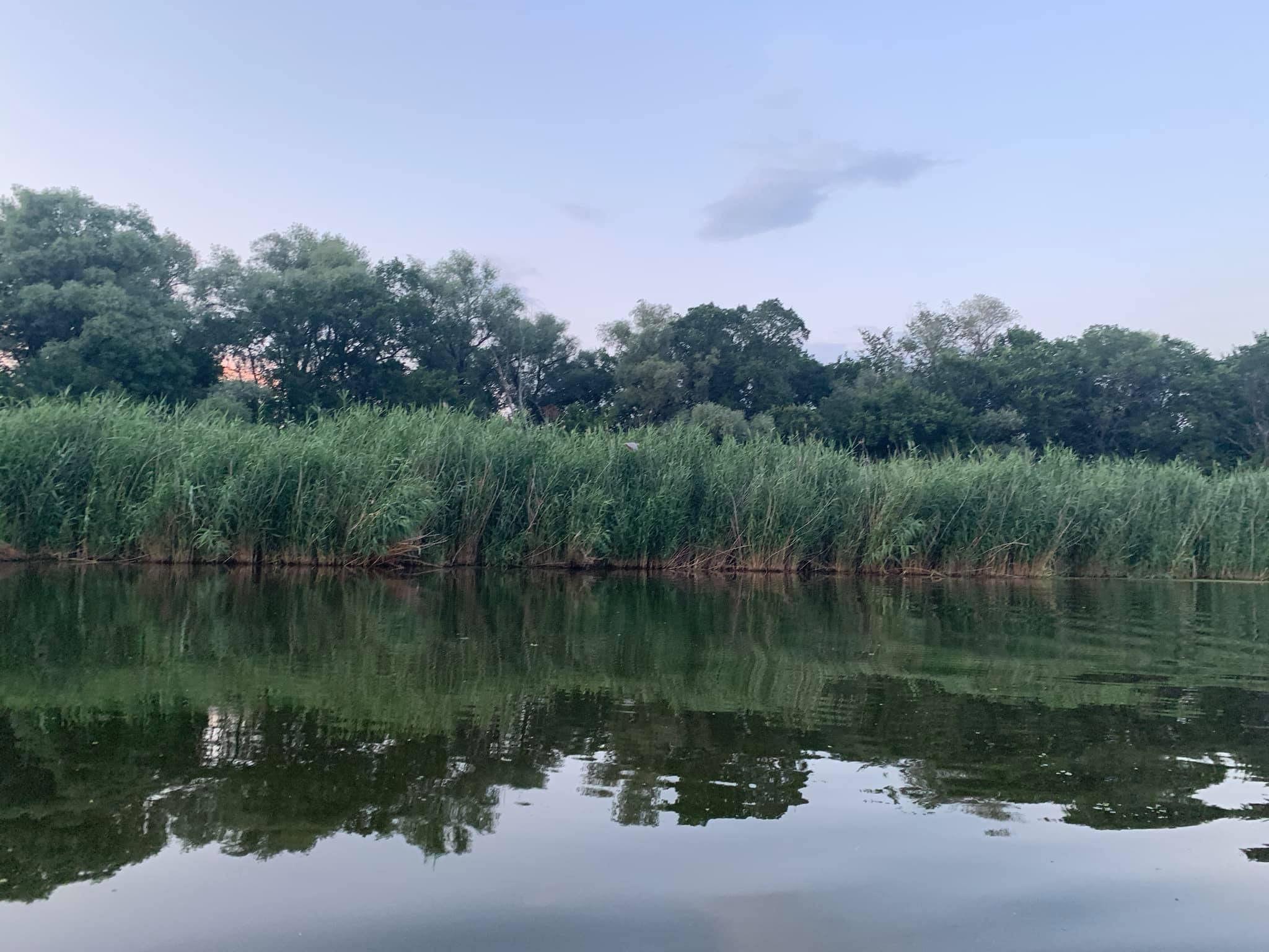 106097224 1512574712274452 5480516920931430631 o