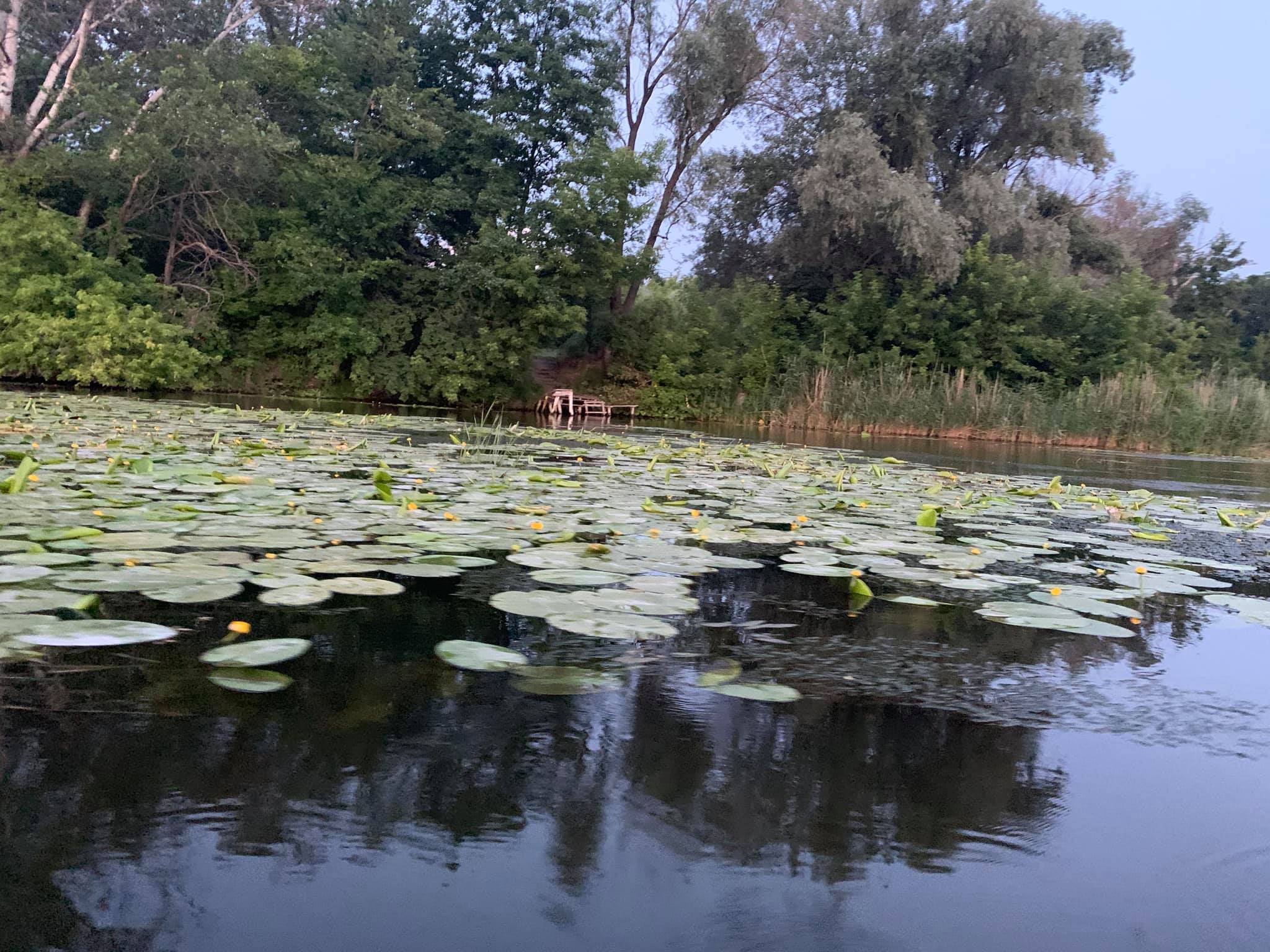 106455923 1512575255607731 4022722443075246761 o