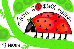 13 июня – день божьих коровок