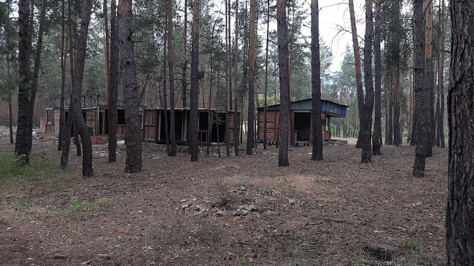 83788438 4026085944130458 8090918866383675300 n