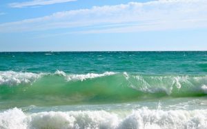 Украинцев попросили не купаться в Черном море