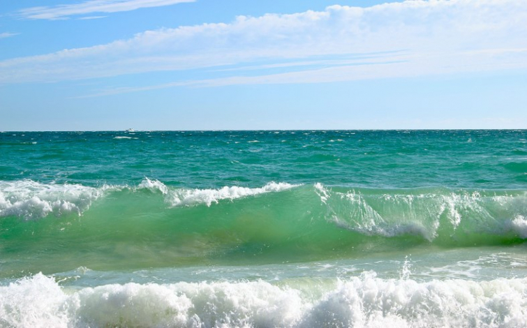 Украинцев попросили не купаться в Черном море