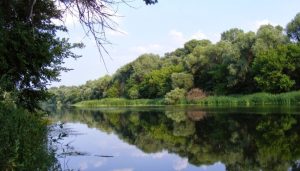 На Голубых озерах утонул ребенок