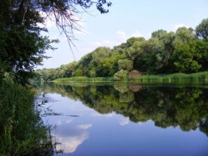 В Лиманском районе во время купания тяжело травмировался ребенок