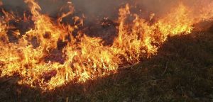 Горіла трава: в Лиманському районі під час пожежі постраждав чоловік