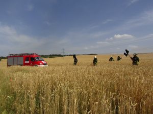 У Слов’янському районі пройшли навчання з гасіння хліба на корені