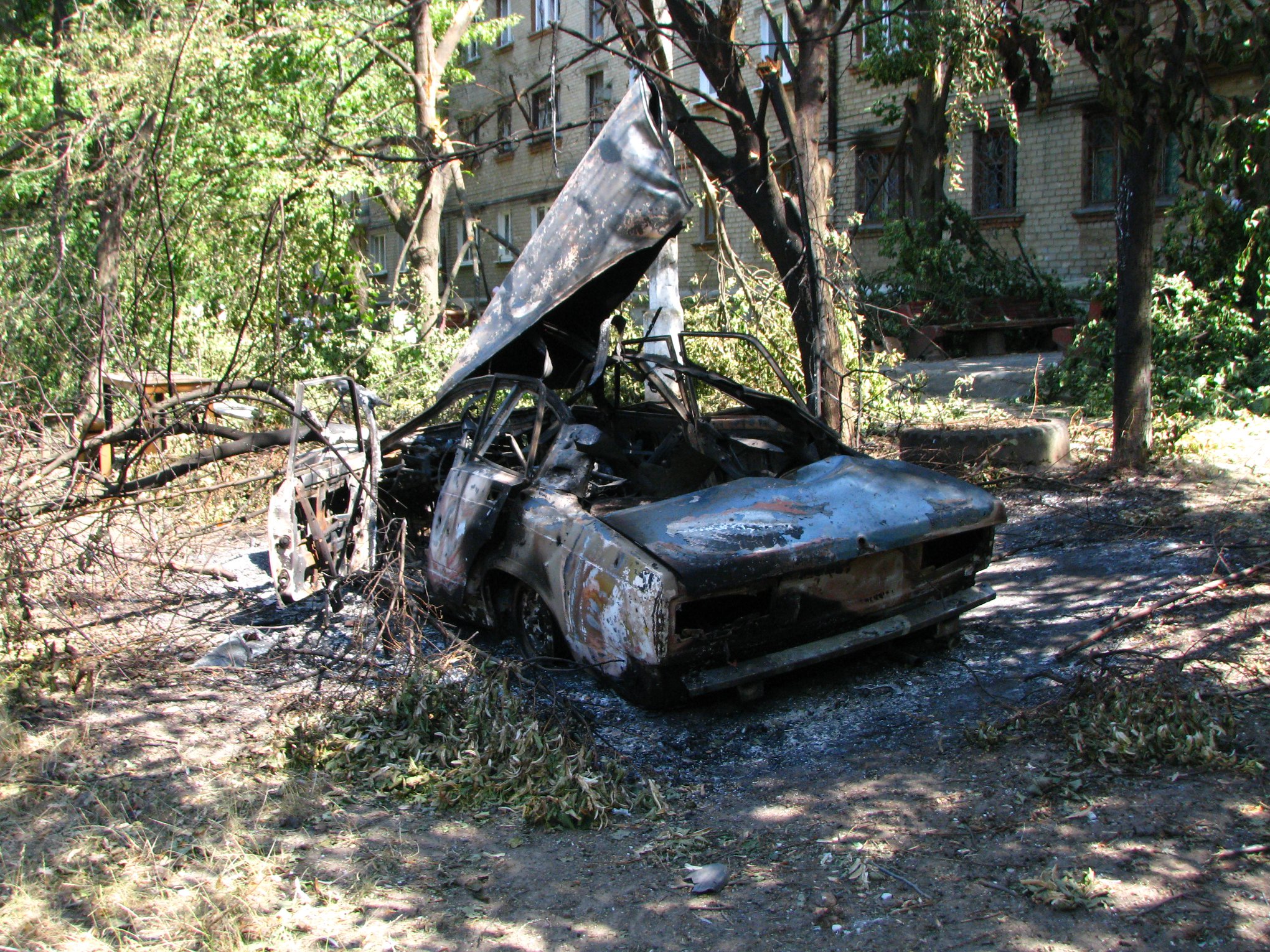 106898780 2597989933789976 4822902555697074724 o