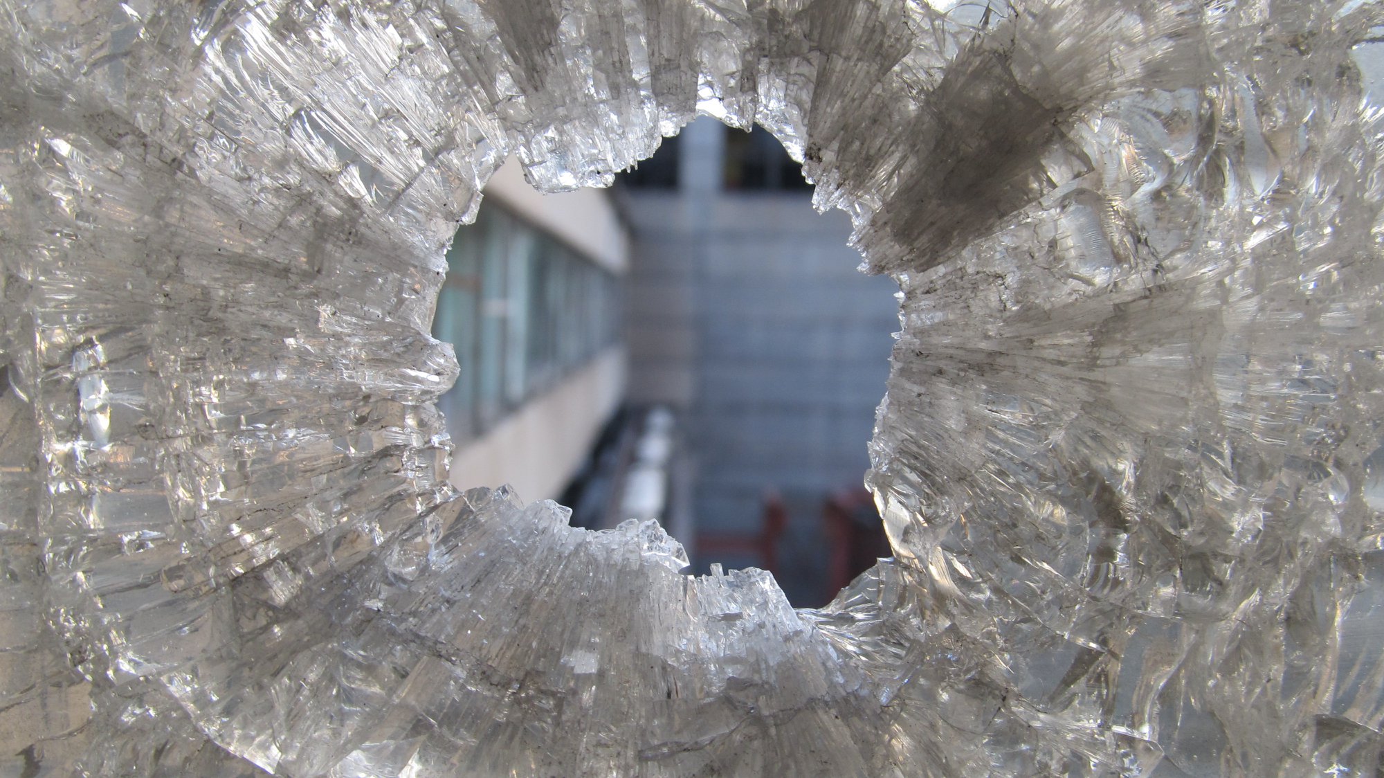 106937089 2597989900456646 445205213444857775 o