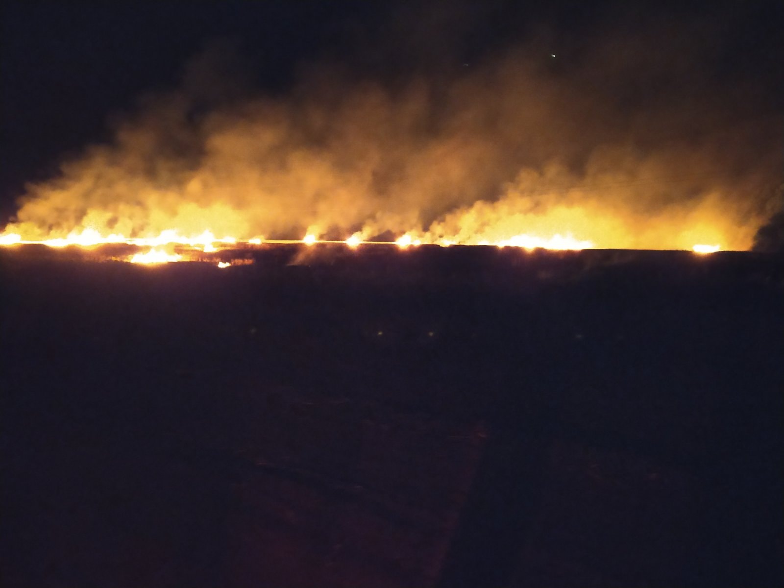 114825934 1568690766629676 3444814771054918098 o 1