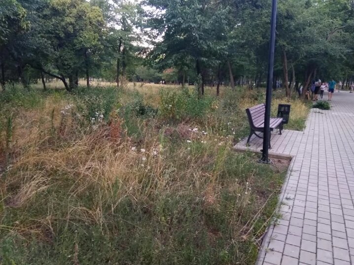 116043927 3098275423622173 263938926714082780 n