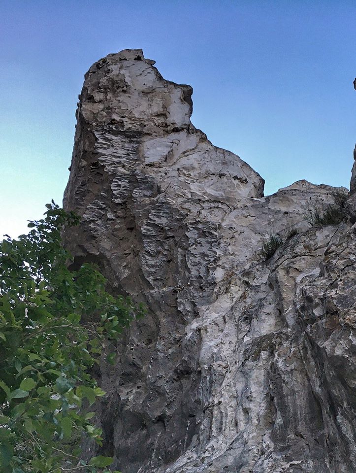 116133756 1873015559506047 8058199071310018873 o