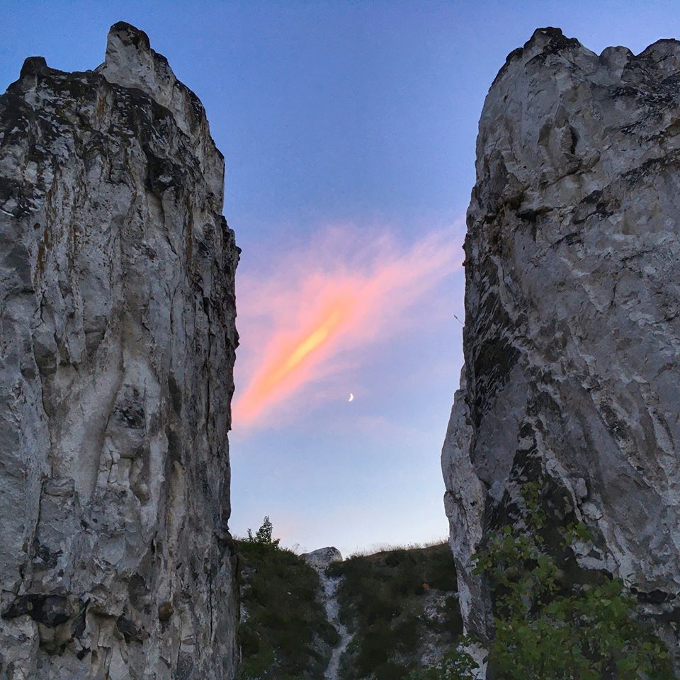 116348898 1873015502839386 7700222518401890856 o