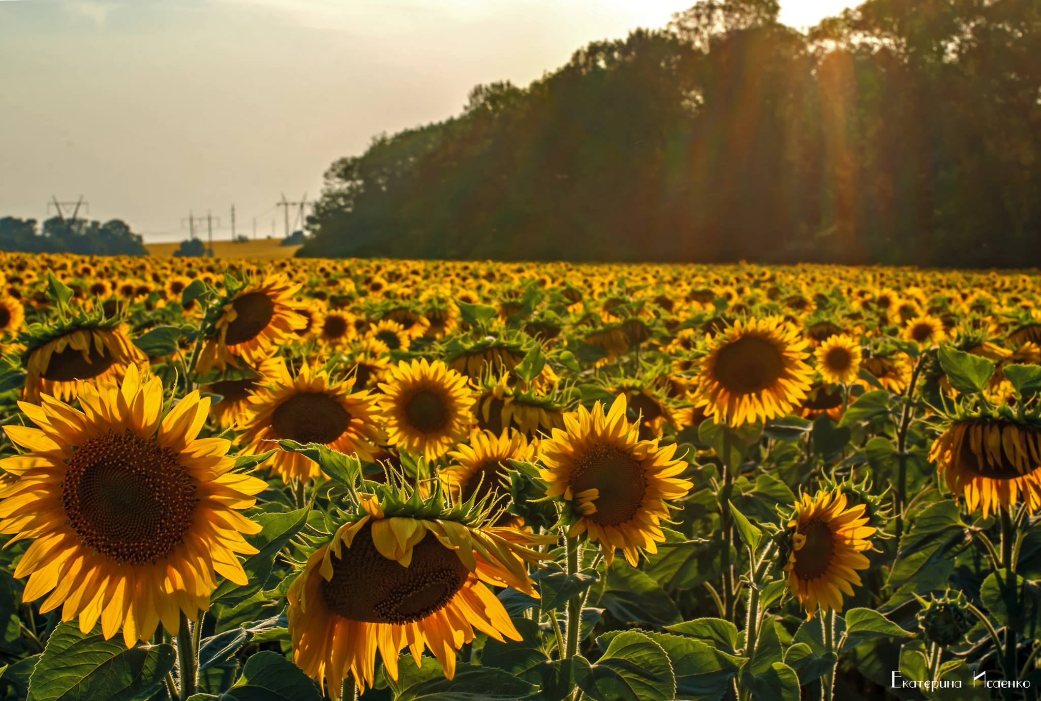 20451837 1339675352746211 6846666427994999541 o