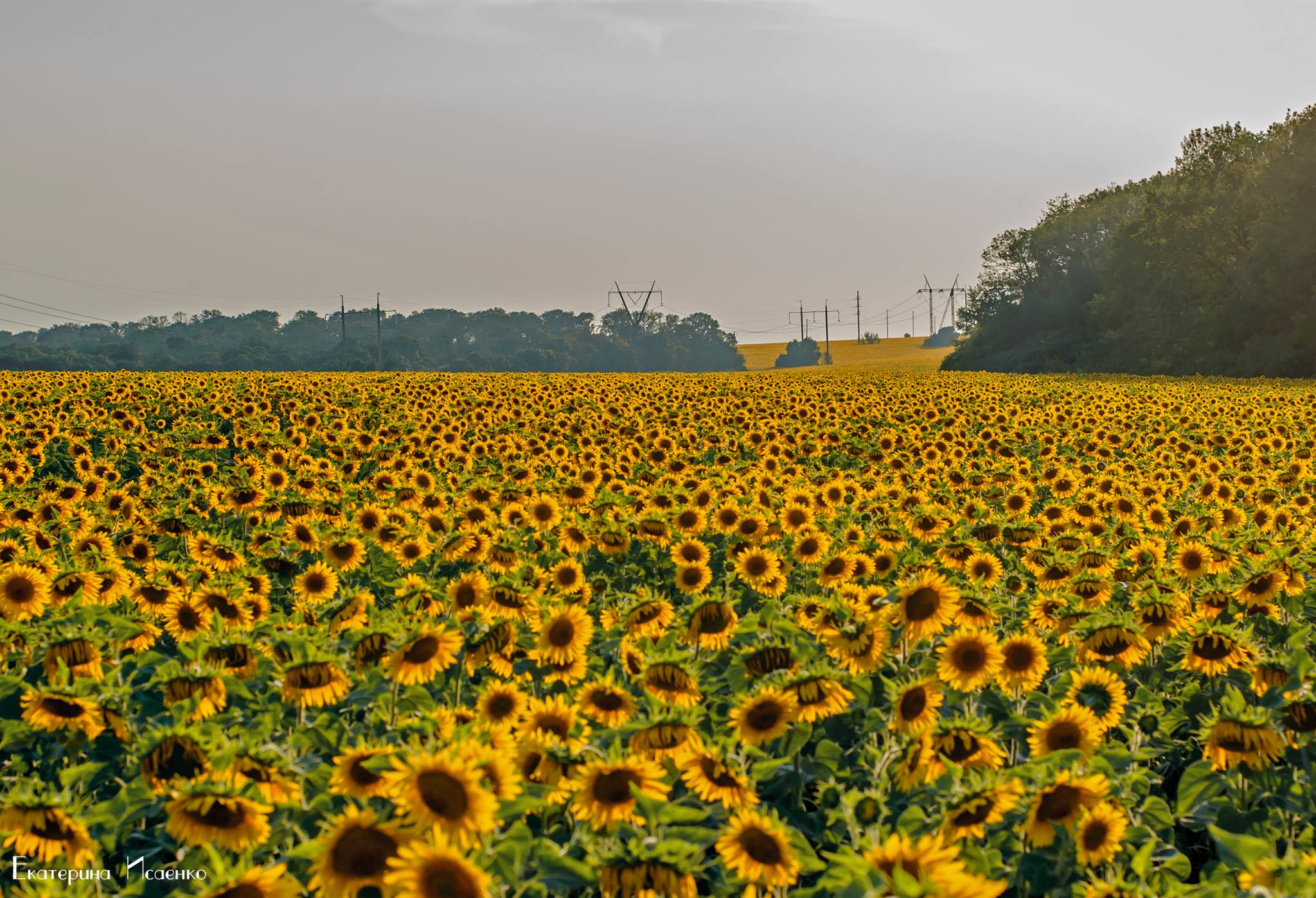 20506987 1339675359412877 1600805461874057176 o