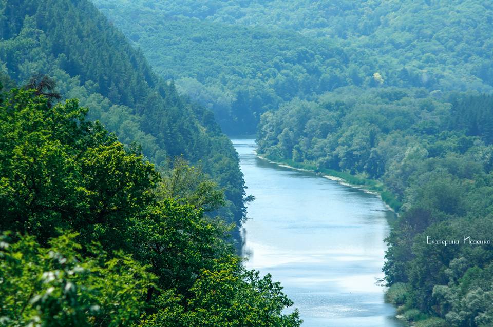 20526194 1342049985842081 2514928941810726682 n